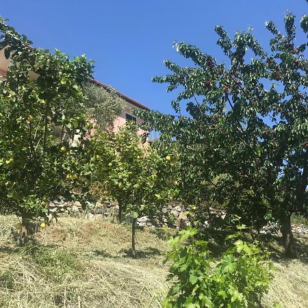 Villa Teresa Casarza Ligure Luaran gambar