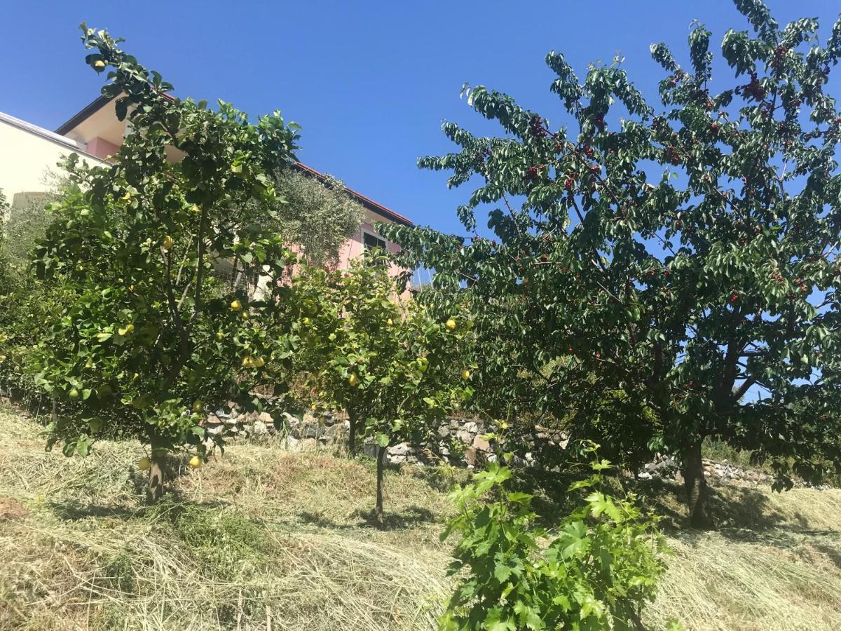 Villa Teresa Casarza Ligure Luaran gambar