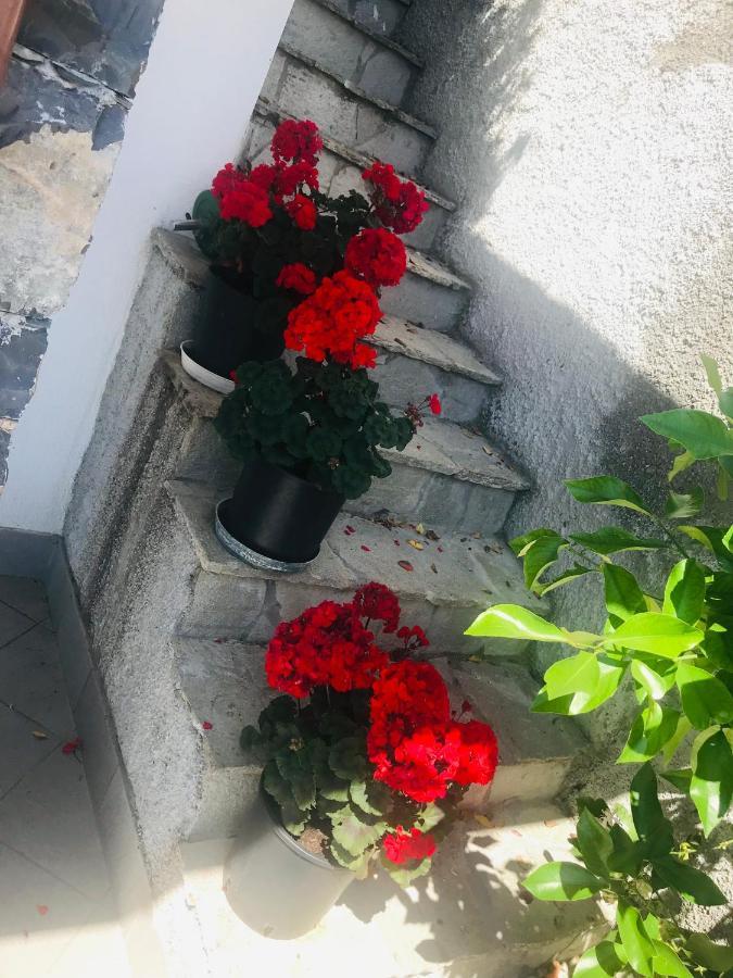 Villa Teresa Casarza Ligure Luaran gambar
