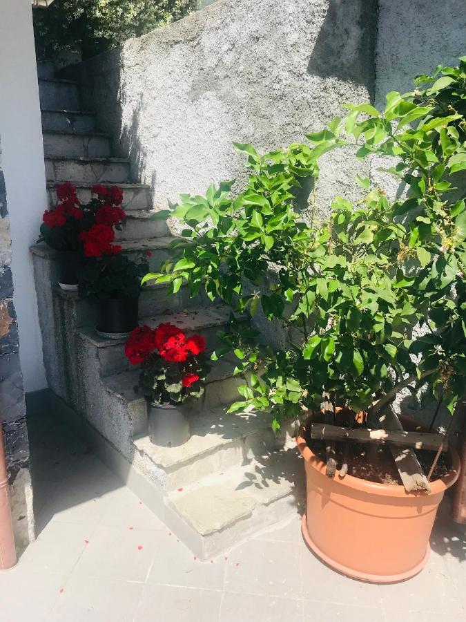 Villa Teresa Casarza Ligure Luaran gambar